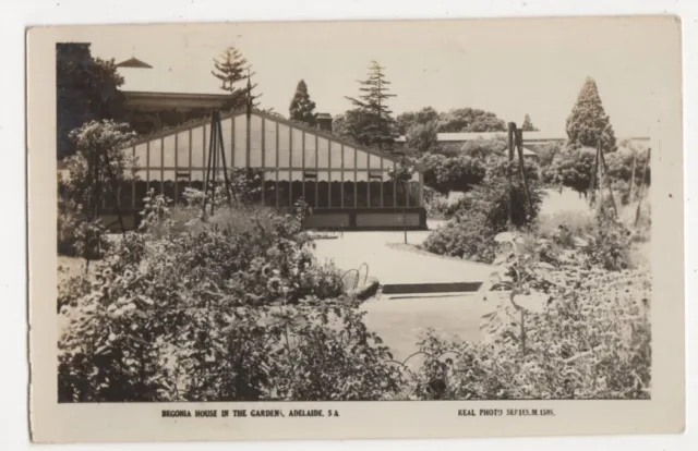 Australia, Begonia House In The Gardens, Adelaide RP Postcard, B271