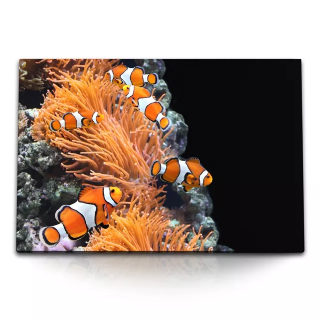 120x80cm Wandbild auf Leinwand Korallenriff Clownfische bunte Fische unter Wasse