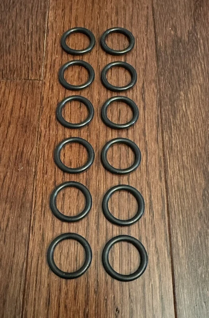 NEW Pentair MasterTemp Oring Max-E-Therm Tube Sheet 12 orings 125K through 400K