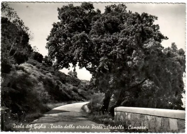 ISOLA DEL GIGLIO - Tratto della strada Porto - Castello - Campese -  Viaggiata