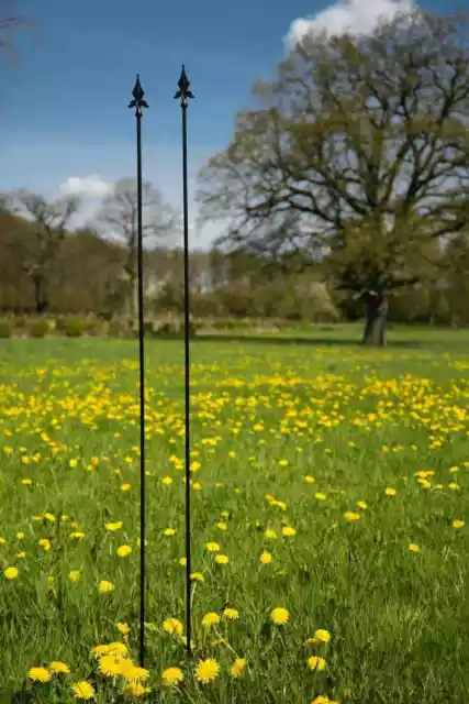2er Rankstab schwarz, Rankhilfe, Rankstange, Lilie,1,70 m  Gartenstecker