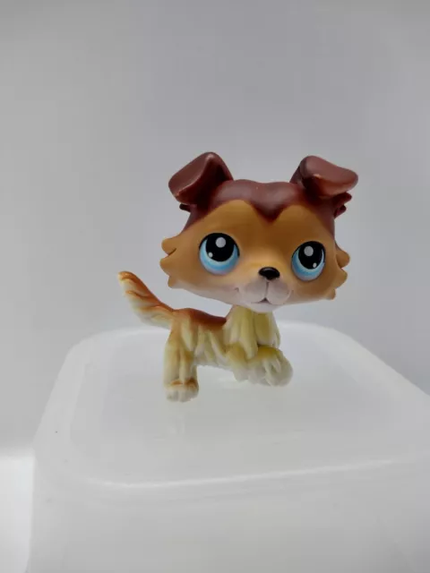 PowerToy LPs Figure, LPs Collie 58 Paw Rised Up Dog 2 inch Collectable Pets with LPs Accessories Kids Gift