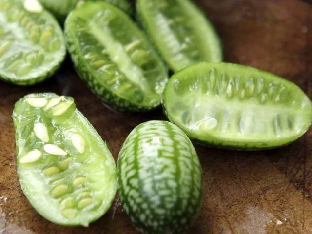 Semi CUCAMELON Cetriolino Messicano (Melothria Scabra) - Pianta Con Frutti A Grappolo Tipo Minianguria