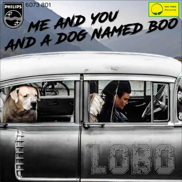 7" LOBO Me And You And A Dog Named Boo / Walk Away From It All PHILIPS D 1971