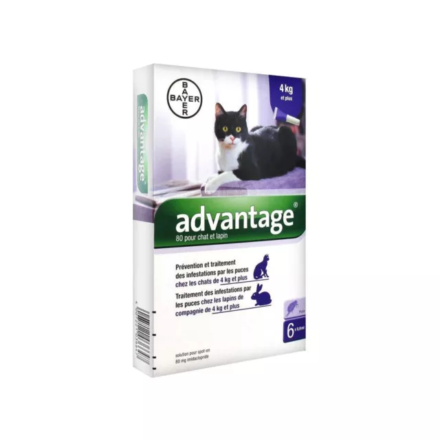 Advantage 80 Chat et Lapins de 4Kg et Plus 6 Pipettes