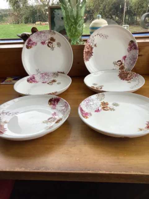6 Marks & Spencer Painterly Floral Large Pasta Size Bowls 10” x 1.5” 8592