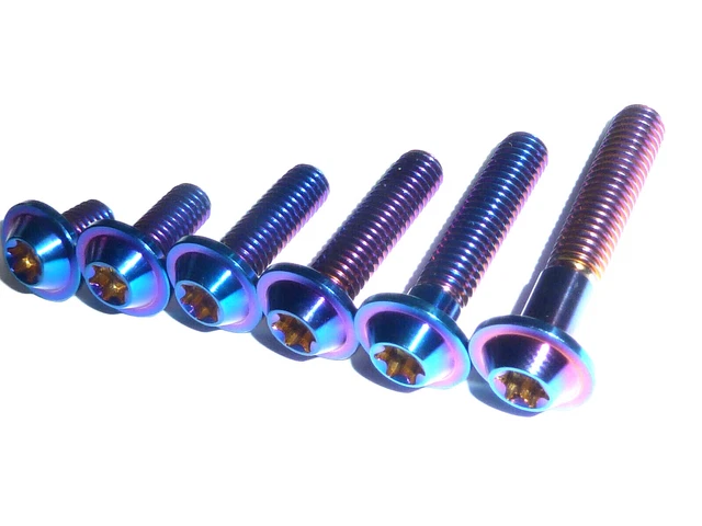 RISON - Tornillos De Titanio M6 X 1,0 X 25 Mm, Tornillos De Cabeza De Casquillo
