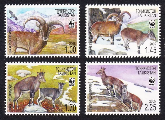 Tajikistan WWF Himalayan Blue Sheep Bharal 'Pseudois nayaur' 4v 2005 MNH