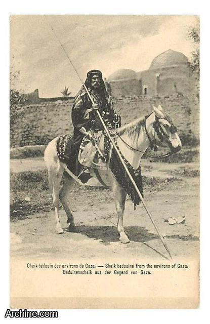 Country - Palestine - Bedouin Sheikh Around Gaza - Animee - Horses - CPA -