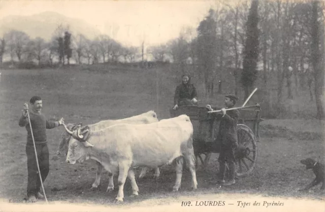Cpa 65 Lourdes Types Des Pyrenees  / Agriculture
