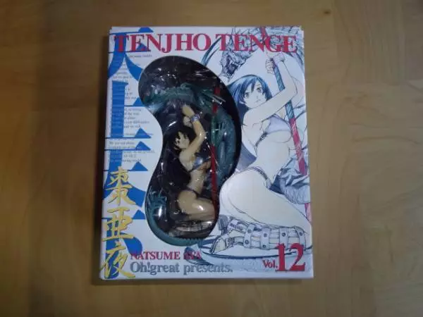 Brand New Tenjho Tenge Natsume Aya Special Figure Tenjo Novelty of Comic vol. 12