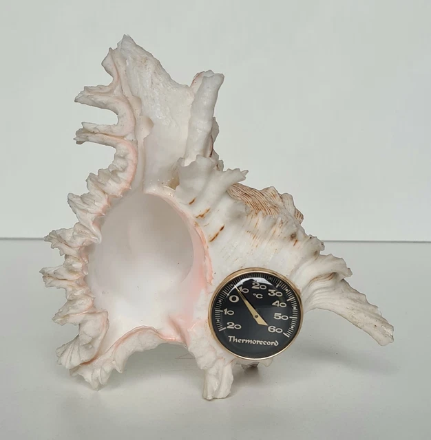 Thermomètre Résine Vintage – Hippocampe, Poisson Et Coquillages – Art Déco France