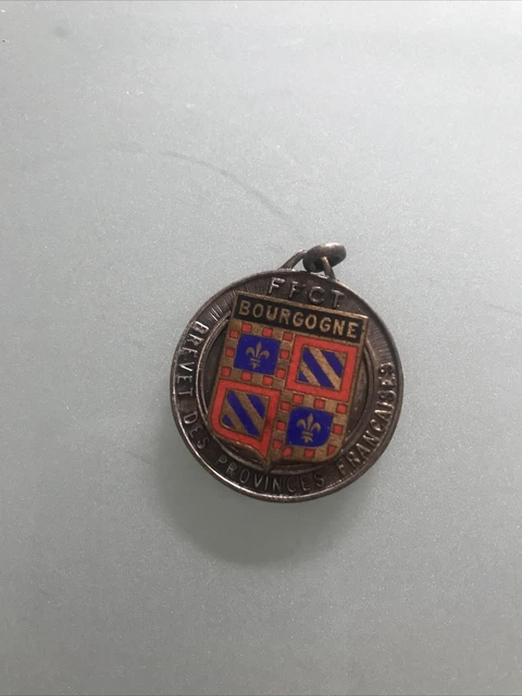 Insigne/médaille Fédération Française De Cyclotourisme - Cyclisme Bourgogne - Pin's Métal