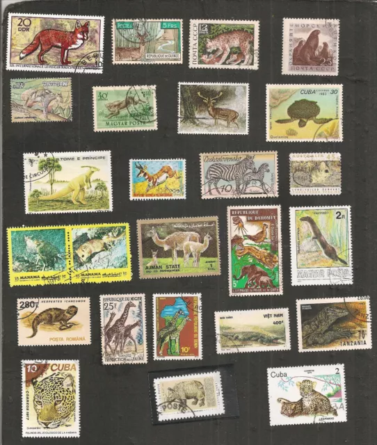 Lot 24 Timbres Du Monde Theme Animaux