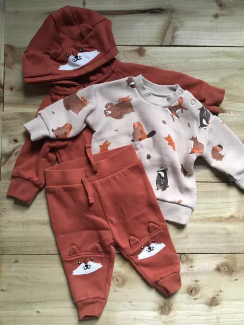 Boys 0-3 Months Cute 3 Piece Set Fox Woodland Animals Tracksuit Outfit