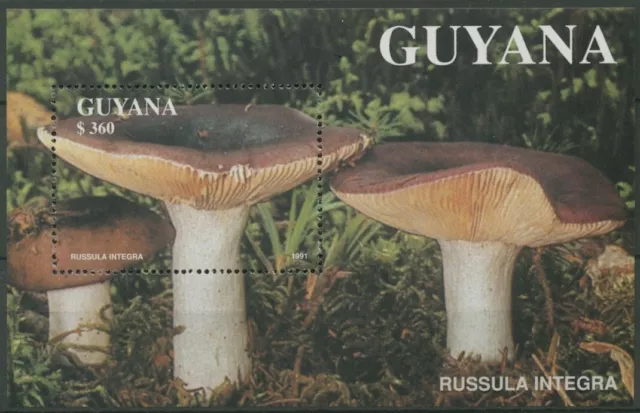 Guyana 1991 Pilze Block 142 postfrisch (C12950)