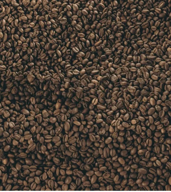 Colombia %100 Arabica Coffee Beans 3