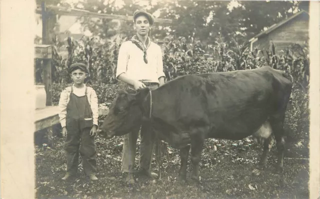 Postcard RPPC C-1910 Farm Agriculture Cow Rural life 23-3983