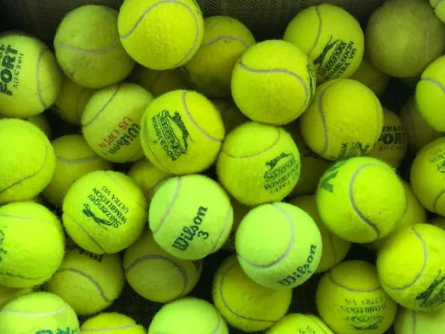 15 or 30 Used Tennis Balls Great for Dogs in Excellent Condition and Sanitised