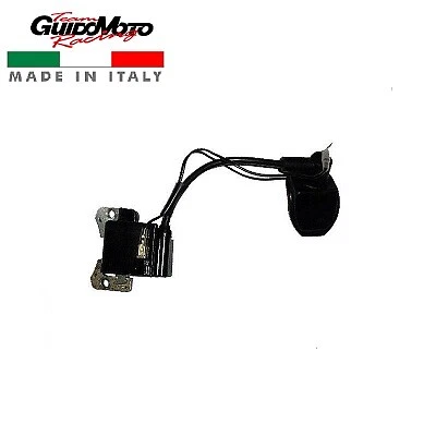Centralina Elettronica Accensione Pit Bike Minmoto Miniquad 2 Tempi Kmm277