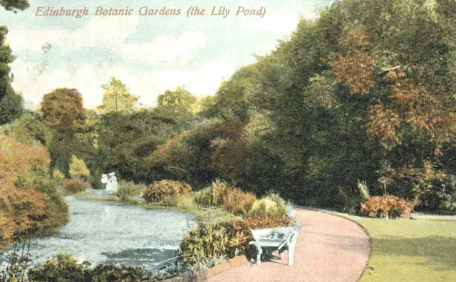 VIntage Postcard-Botanic Gardens (the Lily Pond), Edinburgh, Scotland