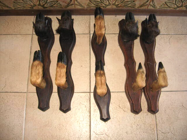Support De Fusil De Chasse Avec Pattes De Chevreuil Et Sanglier - Décoration