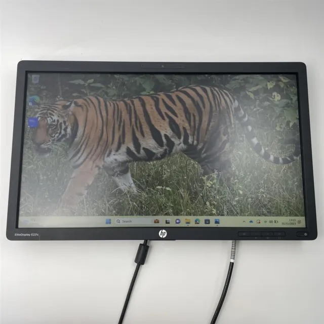 HP EliteDisplay E221c 21.5 in Monitor LCD Backlit VGA Webcam VGA - No Stand