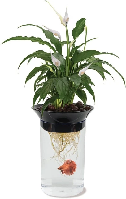 Penn-Plax Aquaponic Planter and Aquarium for Fish Tank for Plants and Fish 2