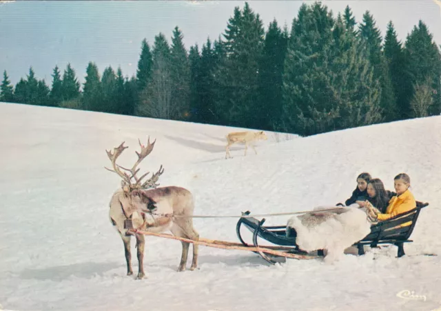 Carte postale 10cmX15cm JURA LES ROUSSES vallée des Rennes traineau timbrée 1980