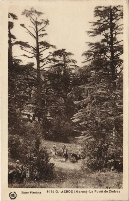 CPA AK AZROU La Foret de Cedres MOROCCO (24214)