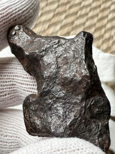 Canyon Diablo, Iron IAB-MG Meteorite, Found in Arizona, USA in 1891, 61.40 grams