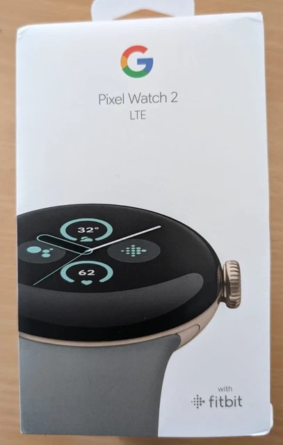 Google Pixel Watch 2 LTE silver porcelain black band
