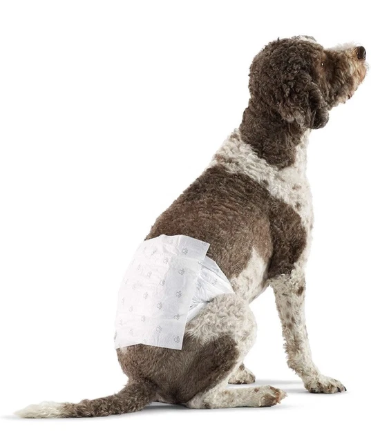 50x Disposable Dog Nappies Males Absorbing Wrap Dog Sanitary Diaper Size "L"