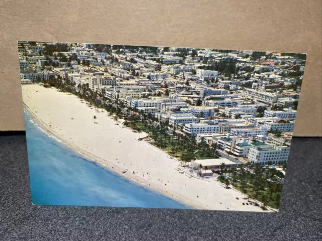 Lummus Park Miami Beach Florida Postcard￼