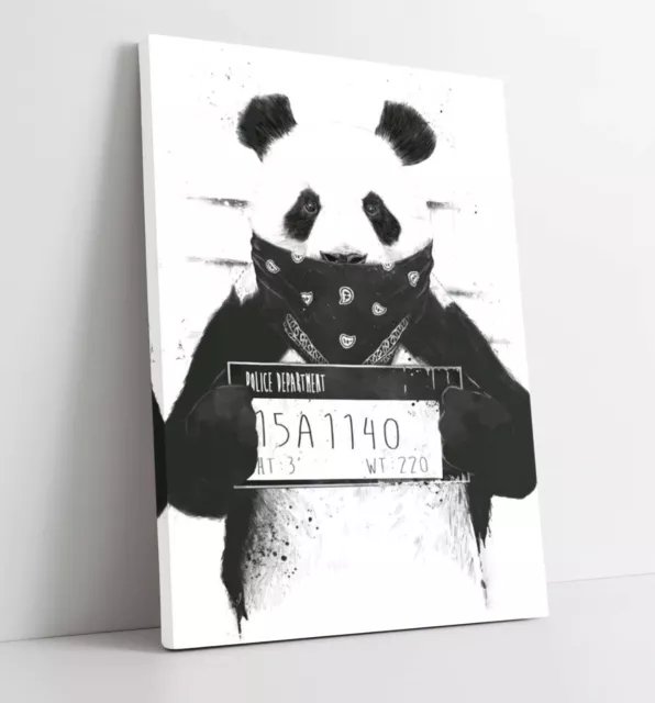 Banksy Panda Mugshot Canvas Wall Art Float Effect/Frame/Picture/Poster Print