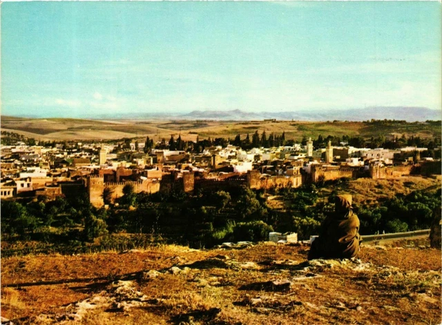 CPM AK Fez - General View MOROC (880402)