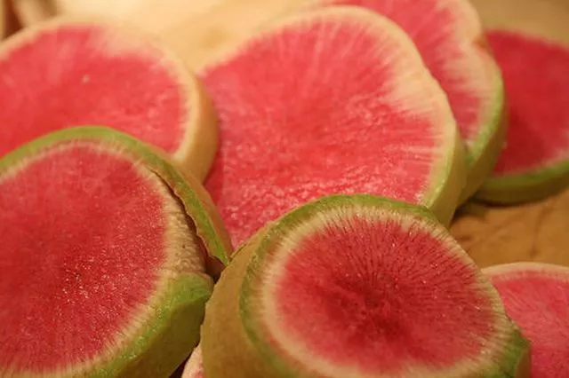 100 Samen Radieschen Wassermelone Winter-Radieschen Rettich