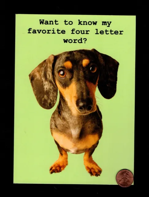 BIRTHDAY Dog Dachshund - CUTE INSIDE - HUMOROUS - Greeting Card W/ TRACKING