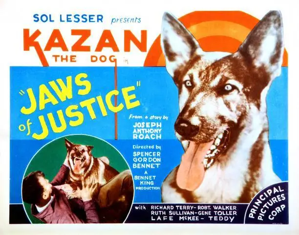 Jaws Of Justice Lobby Card Kazan The Wonder Dog 7 Old Photo