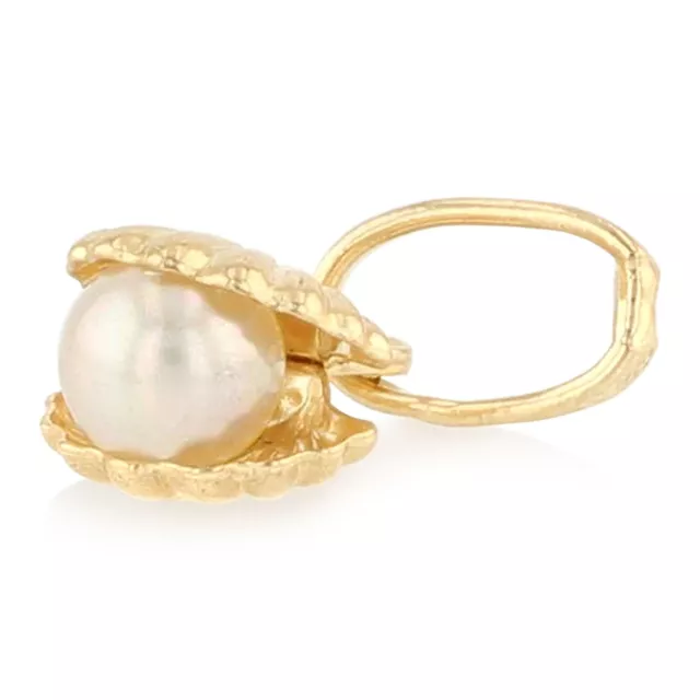 14K Yellow Gold Clam Shell Pearl Charm Pendant & 1.6mm Figaro 3+1 Chain Necklace 3