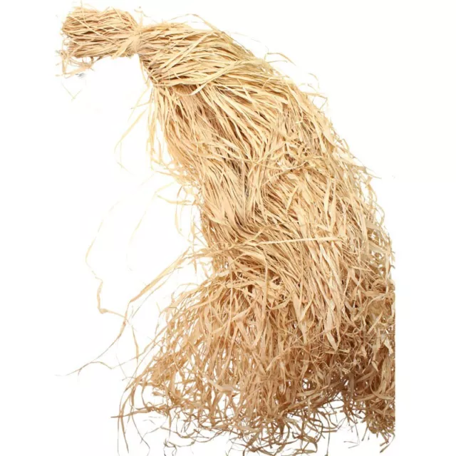 1kg Bast Raffia Naturbast Florbast Raffiabast Bindebast 1000g natur Dekobast