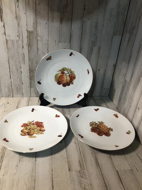 Set of 3 Bareuther Waldsassen Bavaria Germany Fruit And Nut 11.5" Dinner Plates