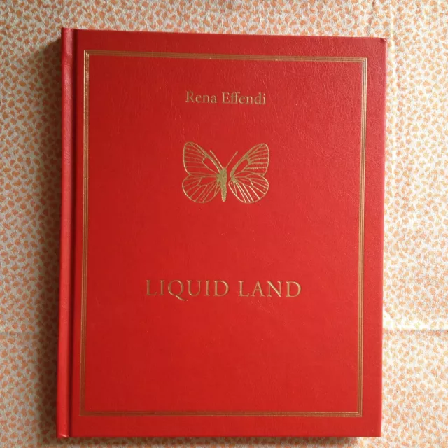 Rena Effendi Liquid Land