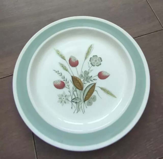 Vintage 1960s Wood & Sons Woods Ware 9" Lunch Plate Wild Grasses Clovelly VGC