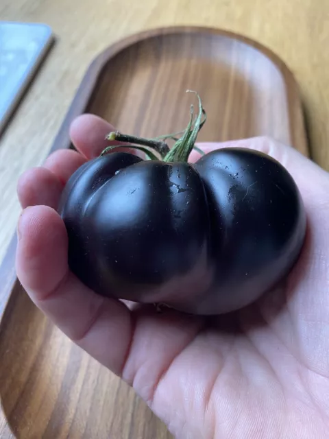 Black Beauty Organic Tomato Seeds.BOGOF My Choice From My Collection.