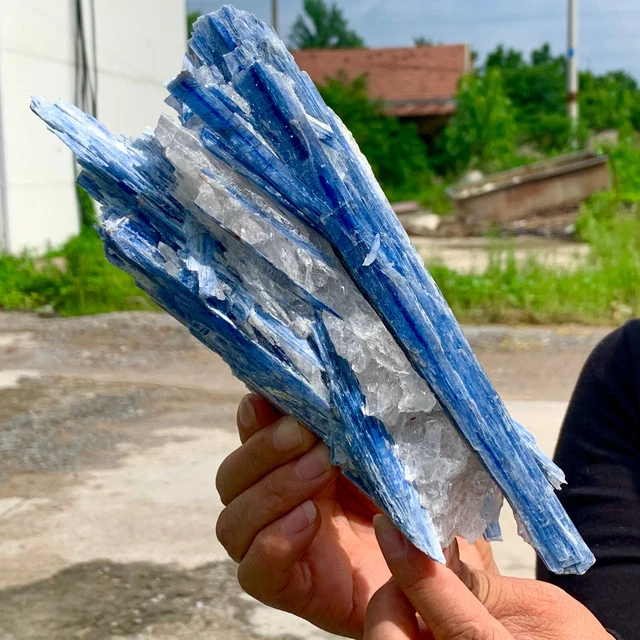 2.04LB Rare!! Natural beautiful Blue KYANITE with Quartz Crystal Specimen Rough