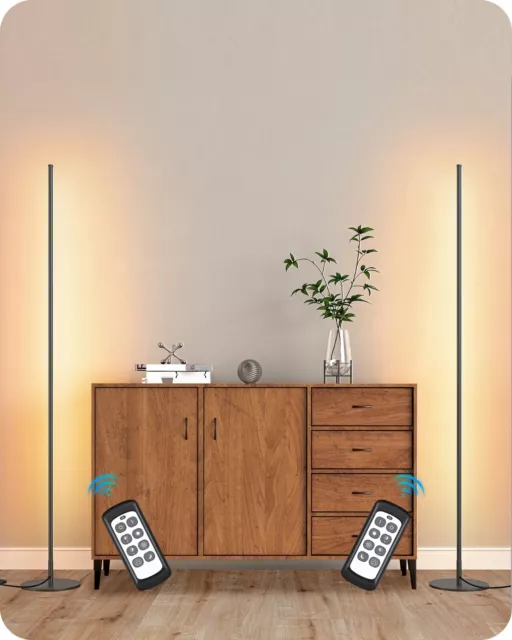 EDISHINE 2Packs Minimalist Dimmable Lighting Tall Floor Lamp for Living Room,