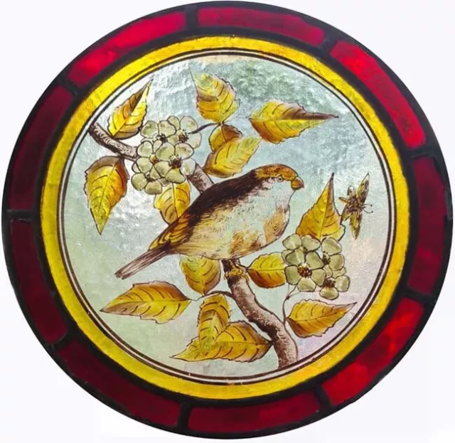 Beautiful Painted English Victorian Stained Glass Bird In Blossom Roundel
