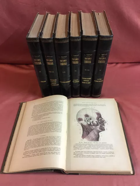 Testut ANATOMIA UMANA 3a ed. 1920/1922 solo 10 vol. in 7 tomi