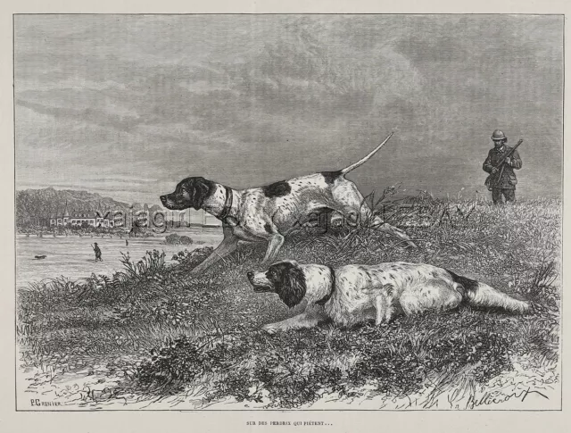 Dog English Setter & Pointer Hunting Pointing Pheasant Large 1870s Antique Print